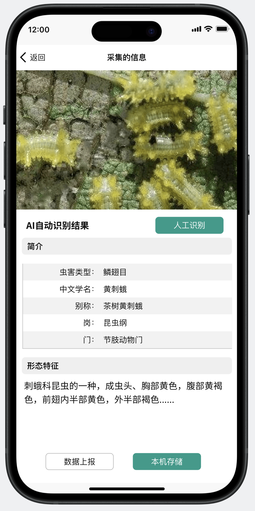 c5161d7da11a441bbf33ec2399894e8c~tplv-obj.png